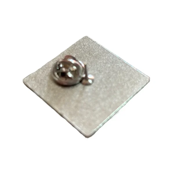 Celtic On Tour Pin